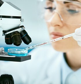 Imagem de laboratório 2