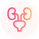 Tratamento de problemas urinários